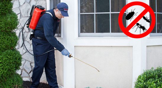 Lalapaşa Kemirgen İlaçlama böcek ilaçlama ve haşere kontrolü — ilaclama-tr.com